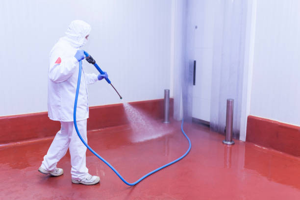 Spring Cleaning in St James, NY